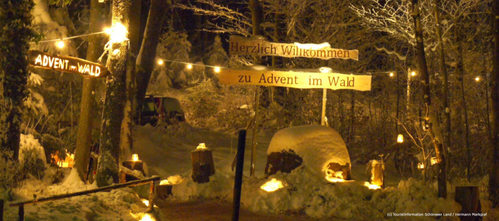 Advent im Wald